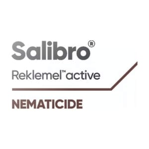 Salibro branding