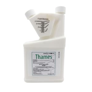 thames