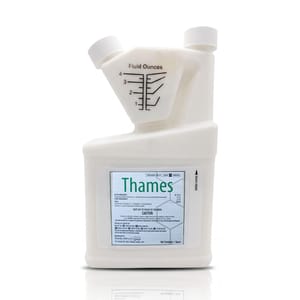 thames