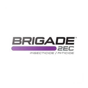Brigade 2EC