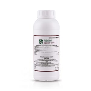 Creedent 75 WDG