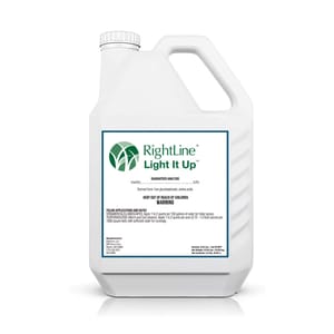 Light It Up 5% Iron