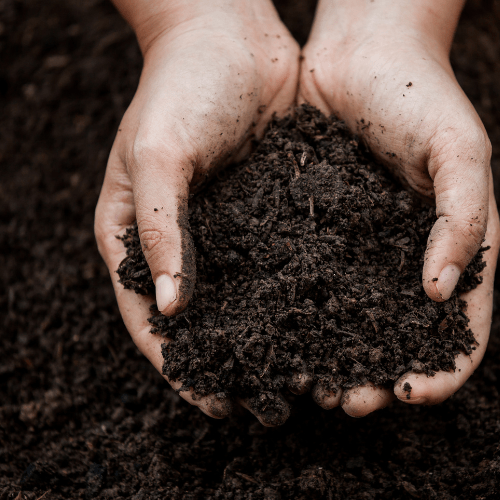 person holding dirt 